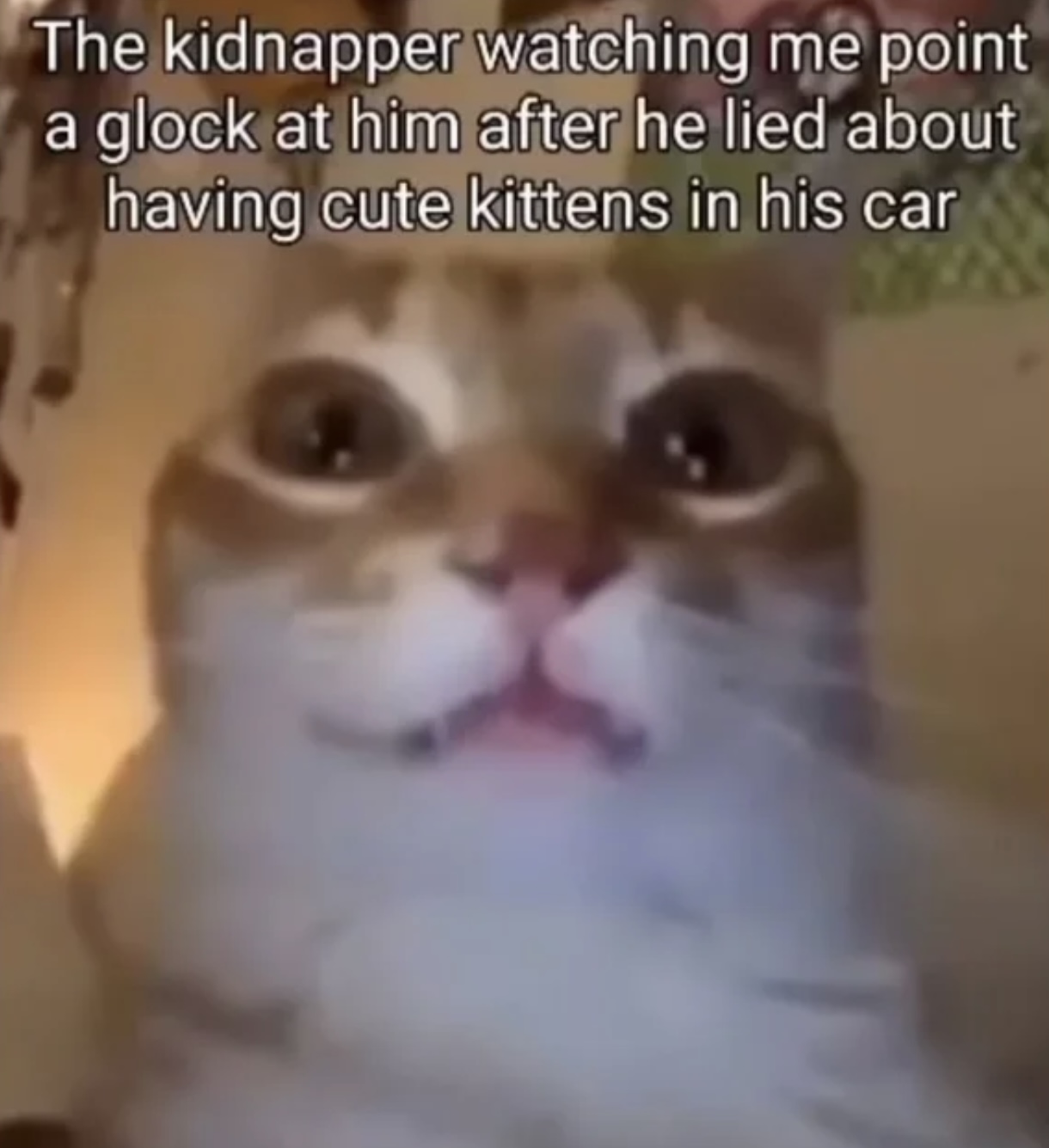 IndomitusBW