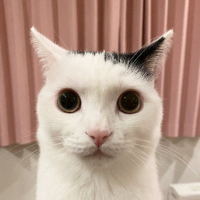 visiqs