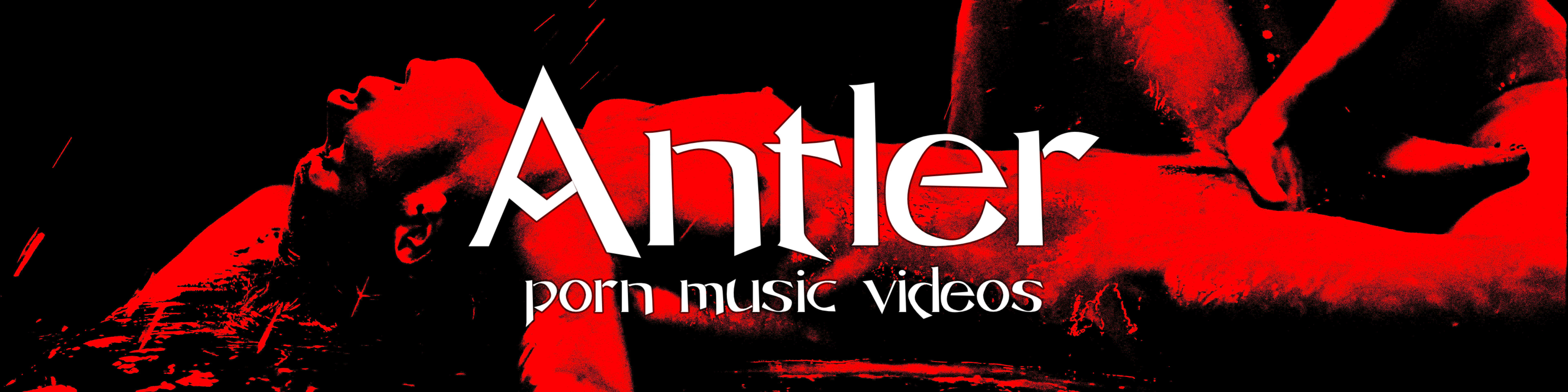 Profile banner