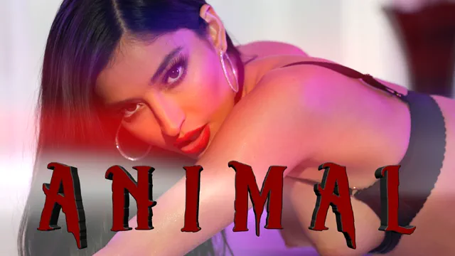 Animal - Emily Willis