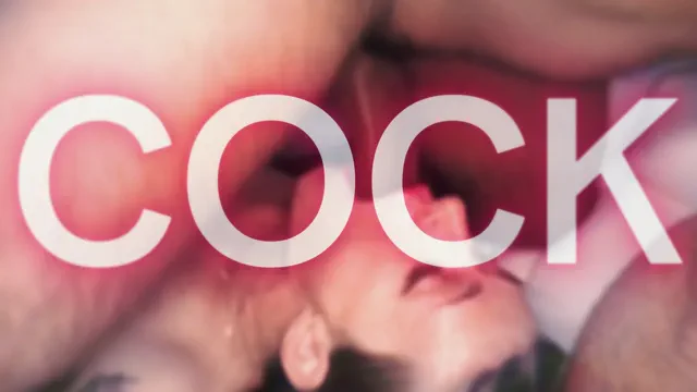 FOCUS SISSY