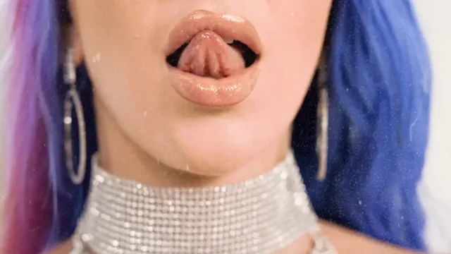 Dutch - PMV