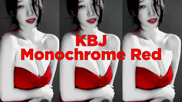 Korean Bj-Monochrome Red-01