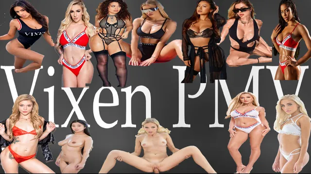Vixen PMV