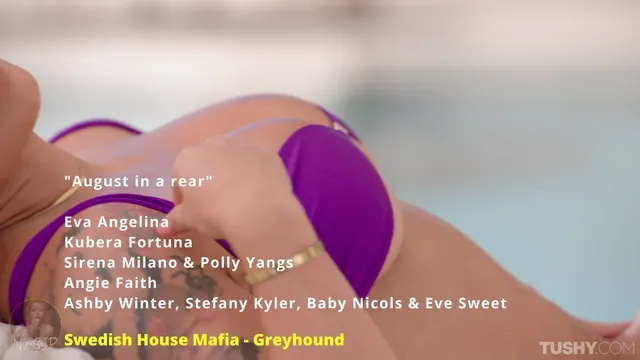 August in a rear - Swedish House Mafia - Greyhound