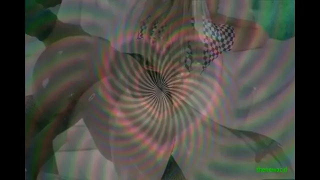 The Hallucination 3