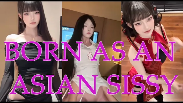 BORN AS AN ASIAN SISSY l hungrypotties