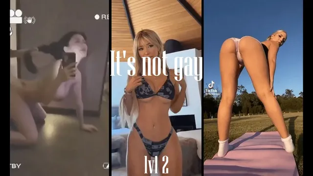 PMV TIKTOK - IT'S NOT GAY - LvL 2