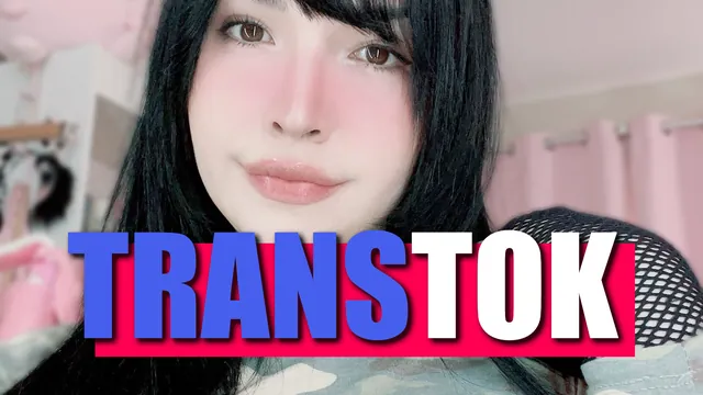TransTok Vol 2 (vertical version) | Infinite PMV