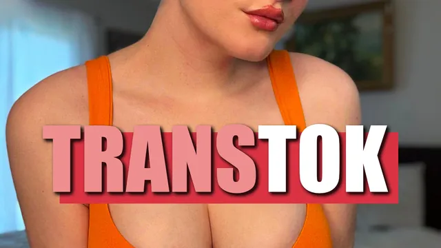 TransTok Vol 3 (vertical version) | Infinite PMV
