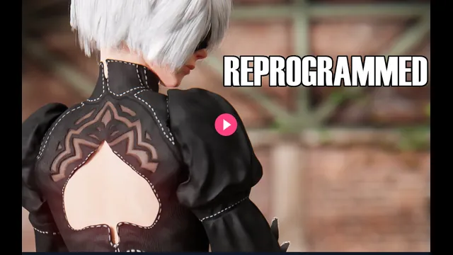 REPROGRAMMED (A Blacked HMV)