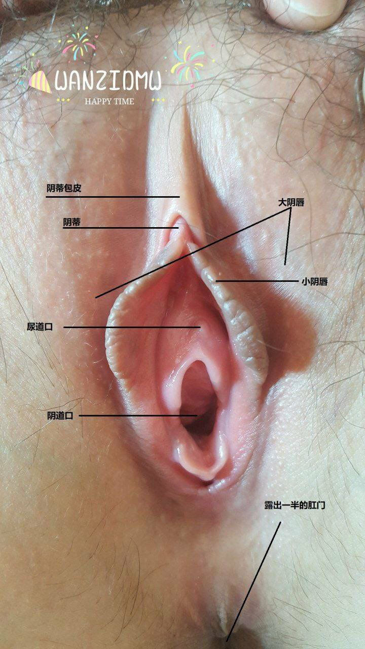 Pongolau