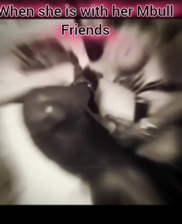 Thumbnail at 0:03