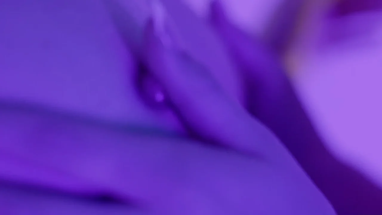 Thumbnail at 0:33