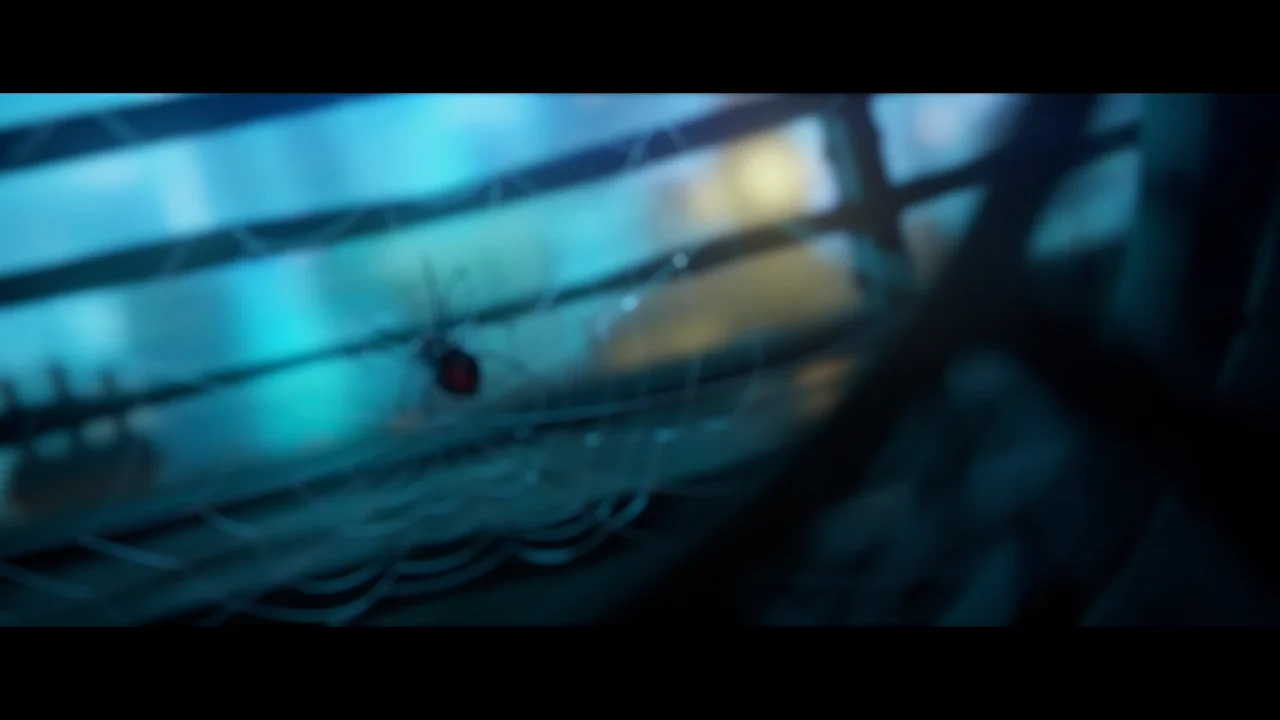 Thumbnail at 0:04