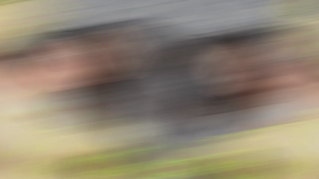 Thumbnail at 1:04