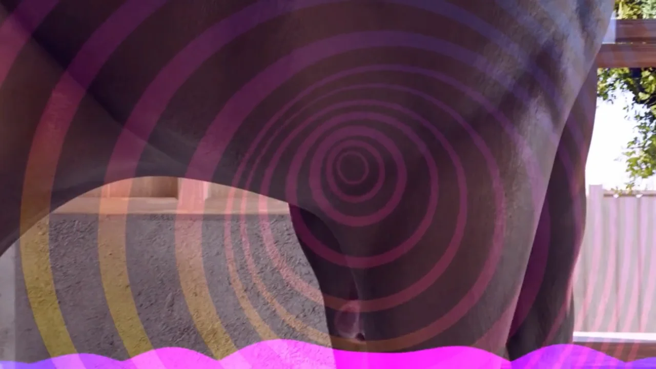 Thumbnail at 1:36