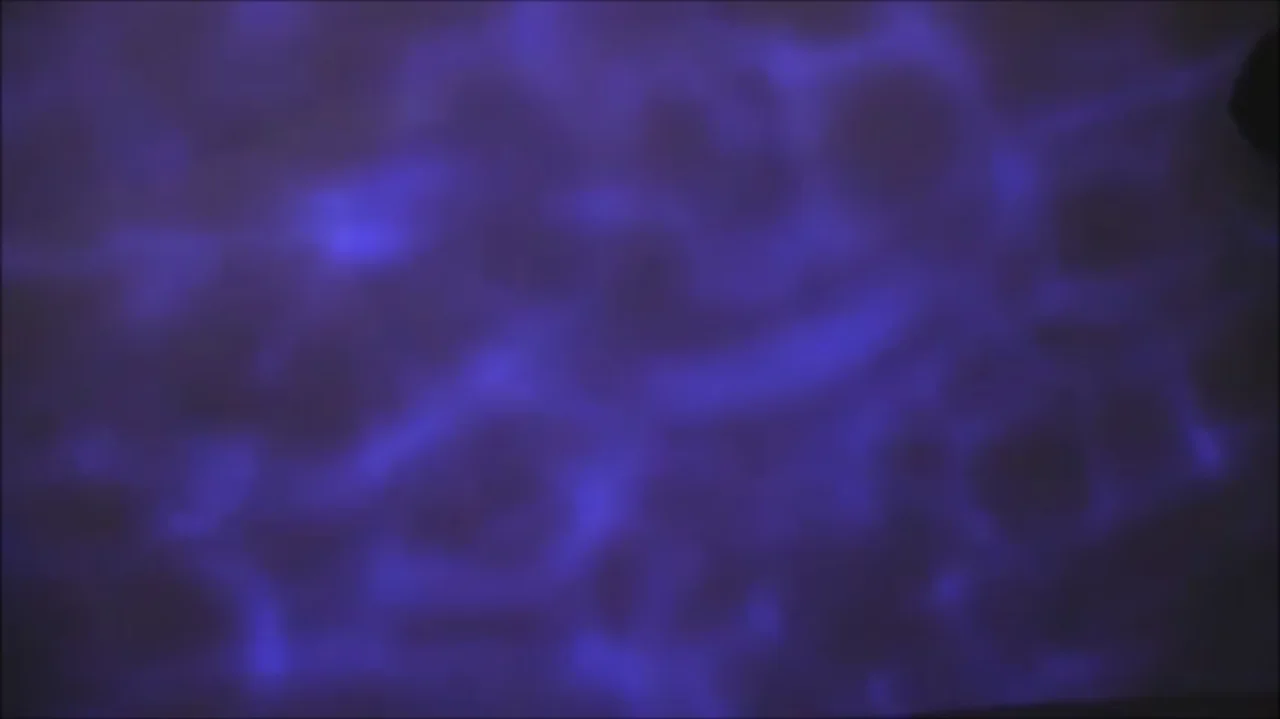 Thumbnail at 3:33