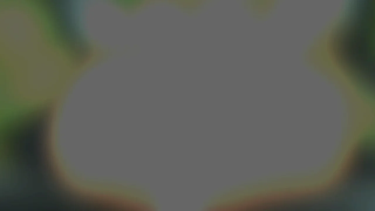 Thumbnail at 0:52
