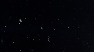 Thumbnail at 4:20