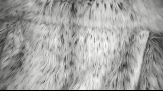 Thumbnail at 0:29