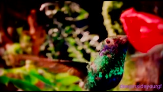Thumbnail at 0:15