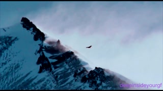 Thumbnail at 0:46