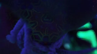 Thumbnail at 0:12
