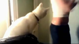 Thumbnail at 0:09