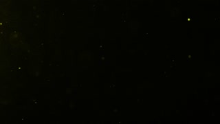 Thumbnail at 0:41
