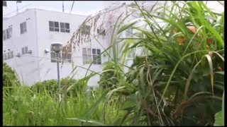 Thumbnail at 0:11