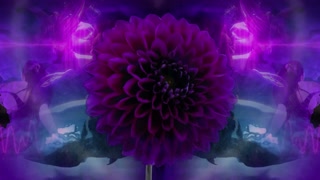Thumbnail at 1:48