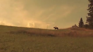 Thumbnail at 0:43