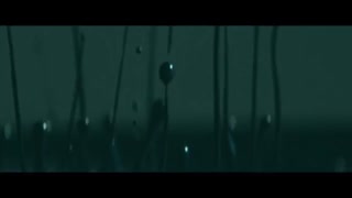 Thumbnail at 2:28