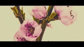 Thumbnail at 2:23
