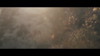 Thumbnail at 0:33