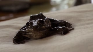 Thumbnail at 1:18
