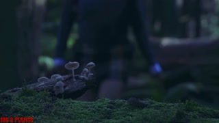 Thumbnail at 0:49
