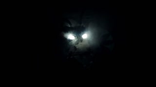 Thumbnail at 0:32