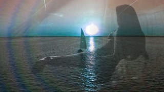 Thumbnail at 0:23