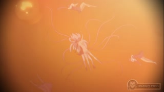 Thumbnail at 2:36