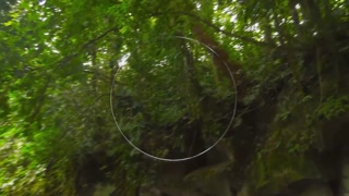 Thumbnail at 0:21