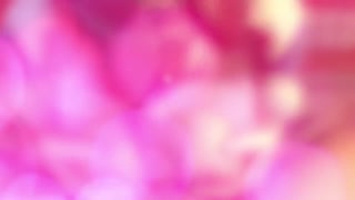 Thumbnail at 0:02