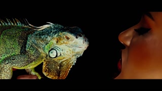 Thumbnail at 1:53