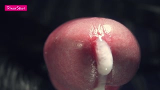 Thumbnail at 0:44