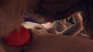 Thumbnail at 0:42