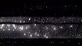 Thumbnail at 0:44
