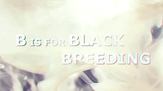 Thumbnail at 0:24