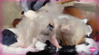 Thumbnail at 2:20