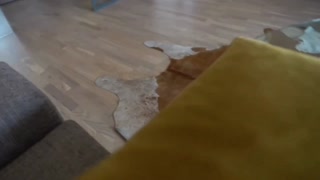 Thumbnail at 0:14